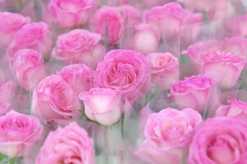 悦己向新赴征途，她力逐梦共荣光—深圳云里物里股份有限公司举办2026年“三八”妇女节主题活动